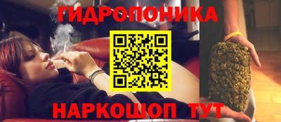 индика Будённовск