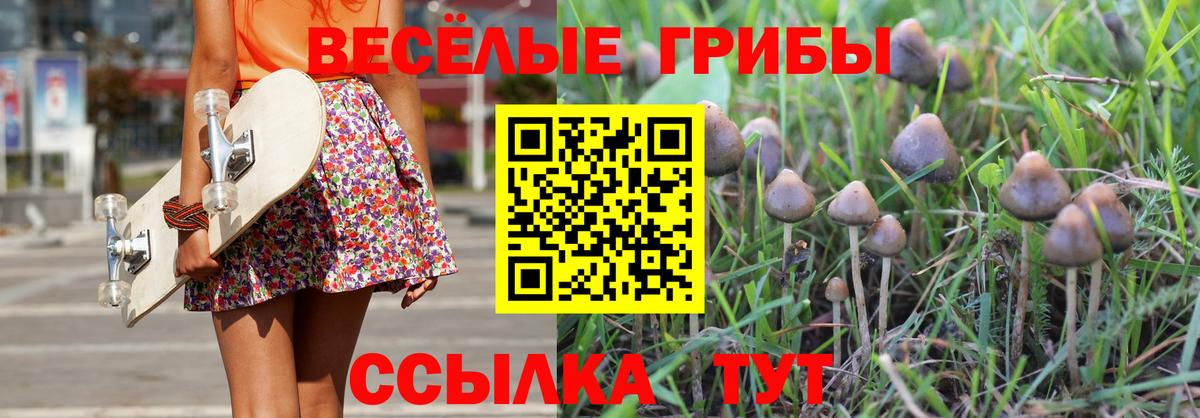 Псилоцибиновые грибы Psilocybine cubensis  Вход с VPN  Коммунар 